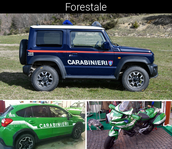 psp-adesivi-per-forestale copia